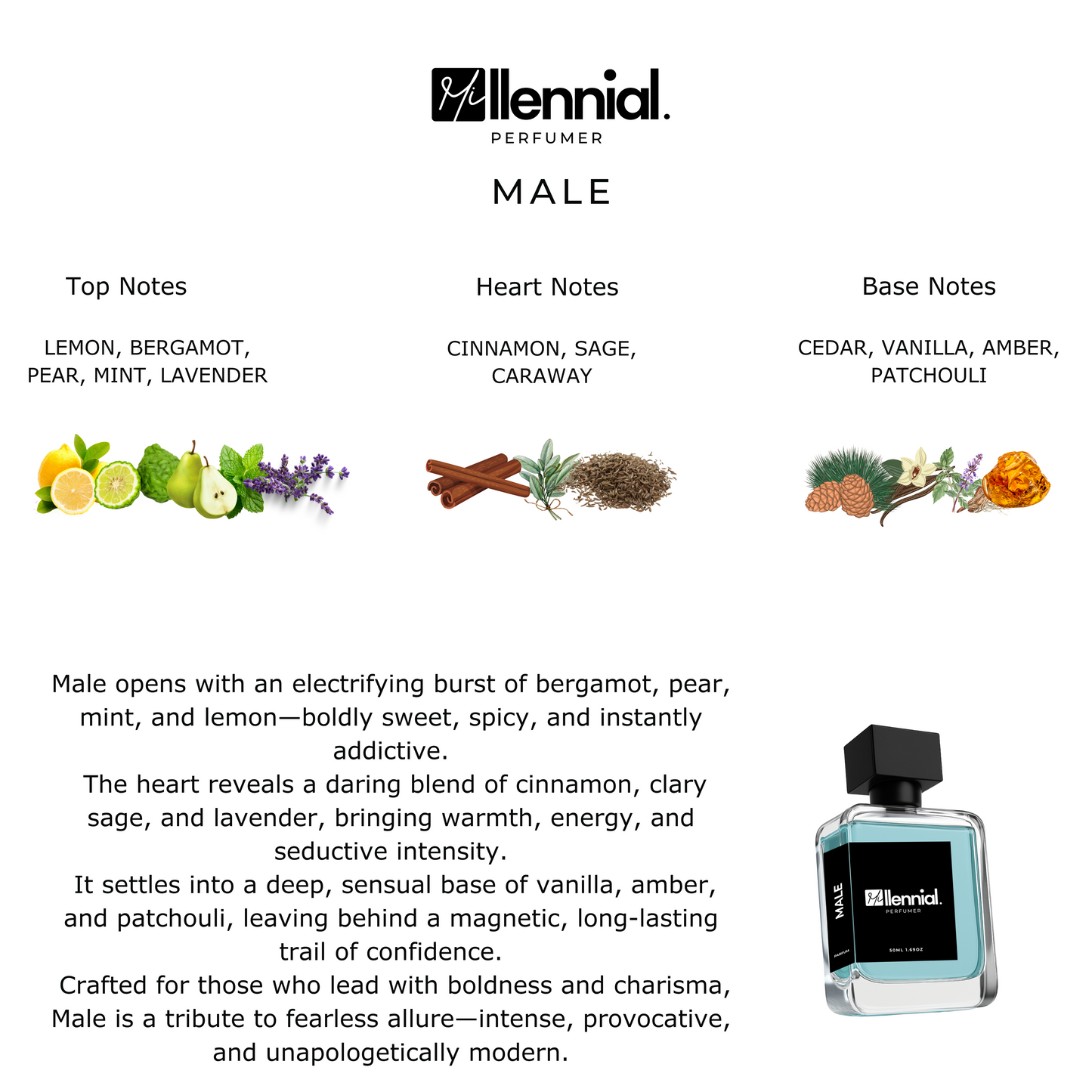 Millennial Perfumer™ – Male | JPGs Ultraa Male (Profile Matches) | Bold, Sweet & Seductive – Pear, Cinnamon & Vanilla Intensity