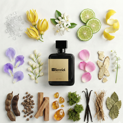 Millennial Perfumer™ – No 5 | Channel No 5 (Profile Matches) | Timeless Luxury Perfume | Long-Lasting Unisex Scent, 50ml