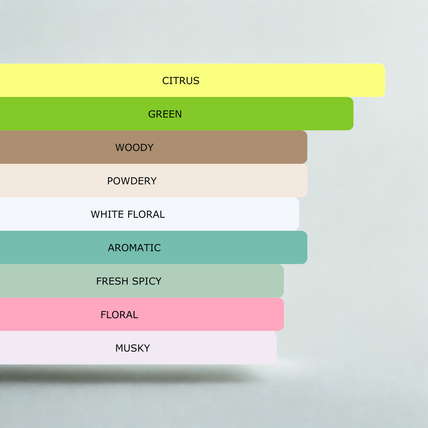 Millennial Perfumer™ – One | CKs One (Profile Match) | Unisex Fresh Citrus Aromatic Fragrance