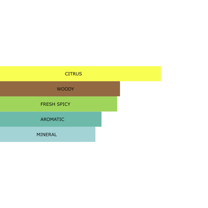 Millennial Perfumer™ – Terra Noir | Hermees Terre d Hermes Type (Profile Match) | Woody Earthy Mineral | Grounded Masculine Signature