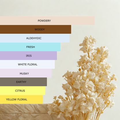 Millennial Perfumer™ – No 5 | Channel No 5 (Profile Matches) | Timeless Luxury Perfume | Long-Lasting Unisex Scent, 50ml