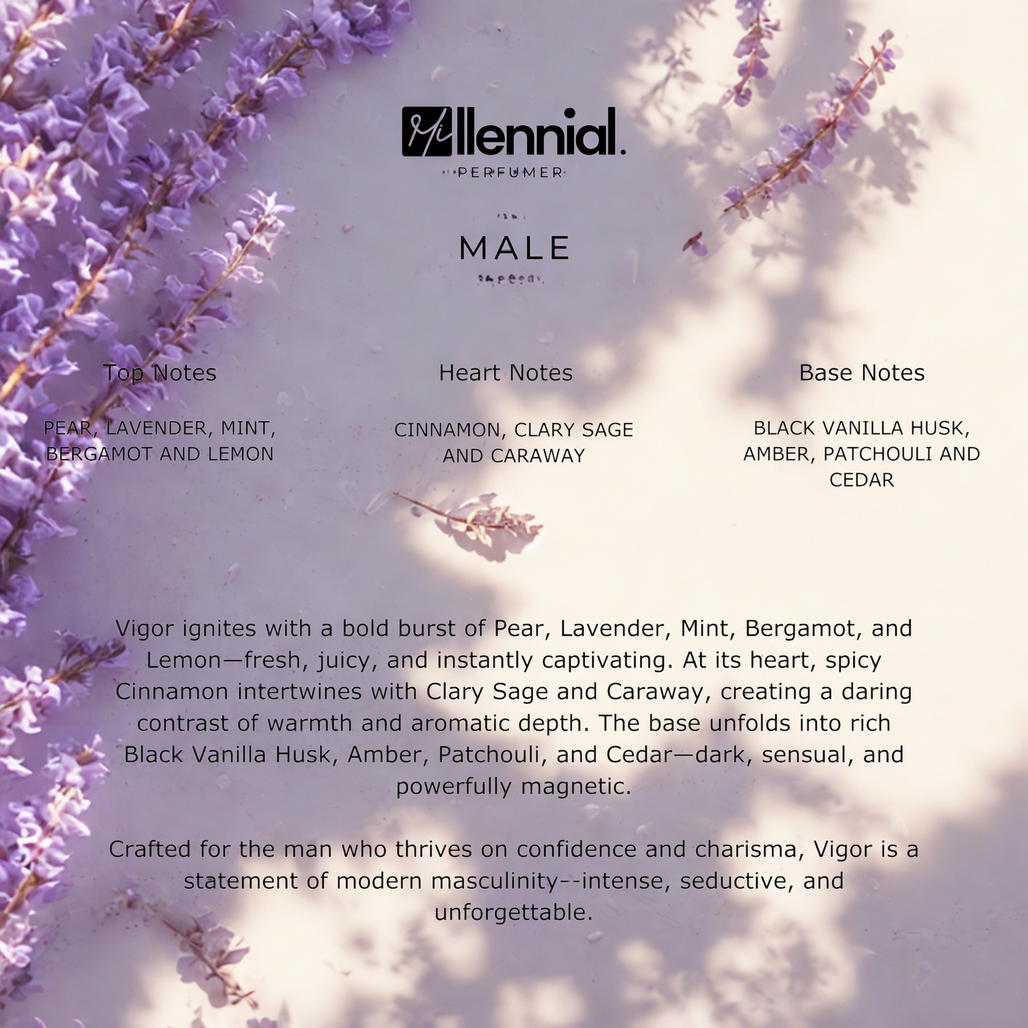 Millennial Perfumer™ – Male |  JPGs Ultraa Male (Profile Matches) | Bold, Sweet & Seductive – Pear, Cinnamon & Vanilla Intensity