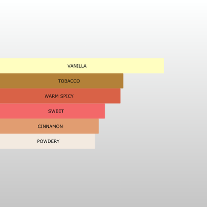 Millennial Perfumer™ – Spicebomb Ext | Viktoor & Rollf Spiceebomb Extreme (Profile Matches) | The Essence of Bold Luxury