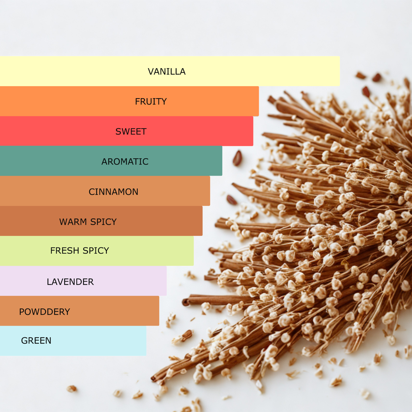 Millennial Perfumer™ – Male |  JPGs Ultraa Male (Profile Matches) | Bold, Sweet & Seductive – Pear, Cinnamon & Vanilla Intensity