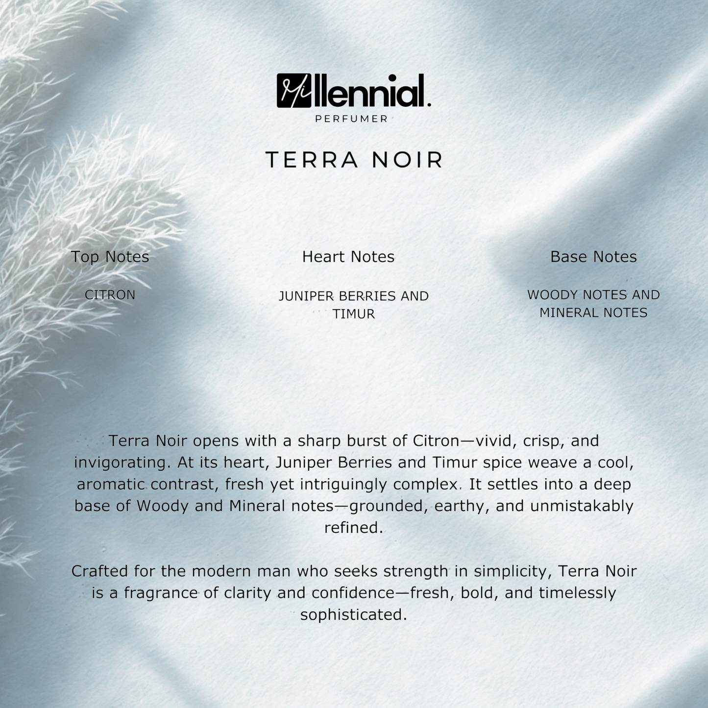 Millennial Perfumer™ – Terra Noir | Hermees Terre d Hermes Type (Profile Match) | Woody Earthy Mineral | Grounded Masculine Signature
